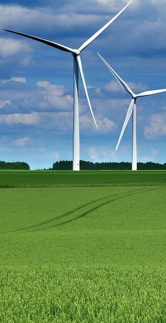 ekologia-korzysci-dla-scrodowiska