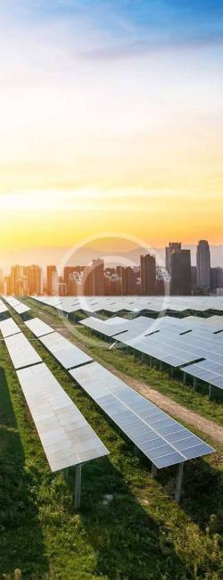 image-copyright (47)